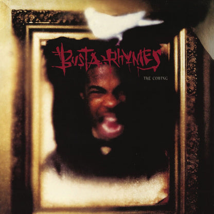 Busta Rhymes Hip-hop Music Poster Rapper Wall Art Rap Print - xonomax