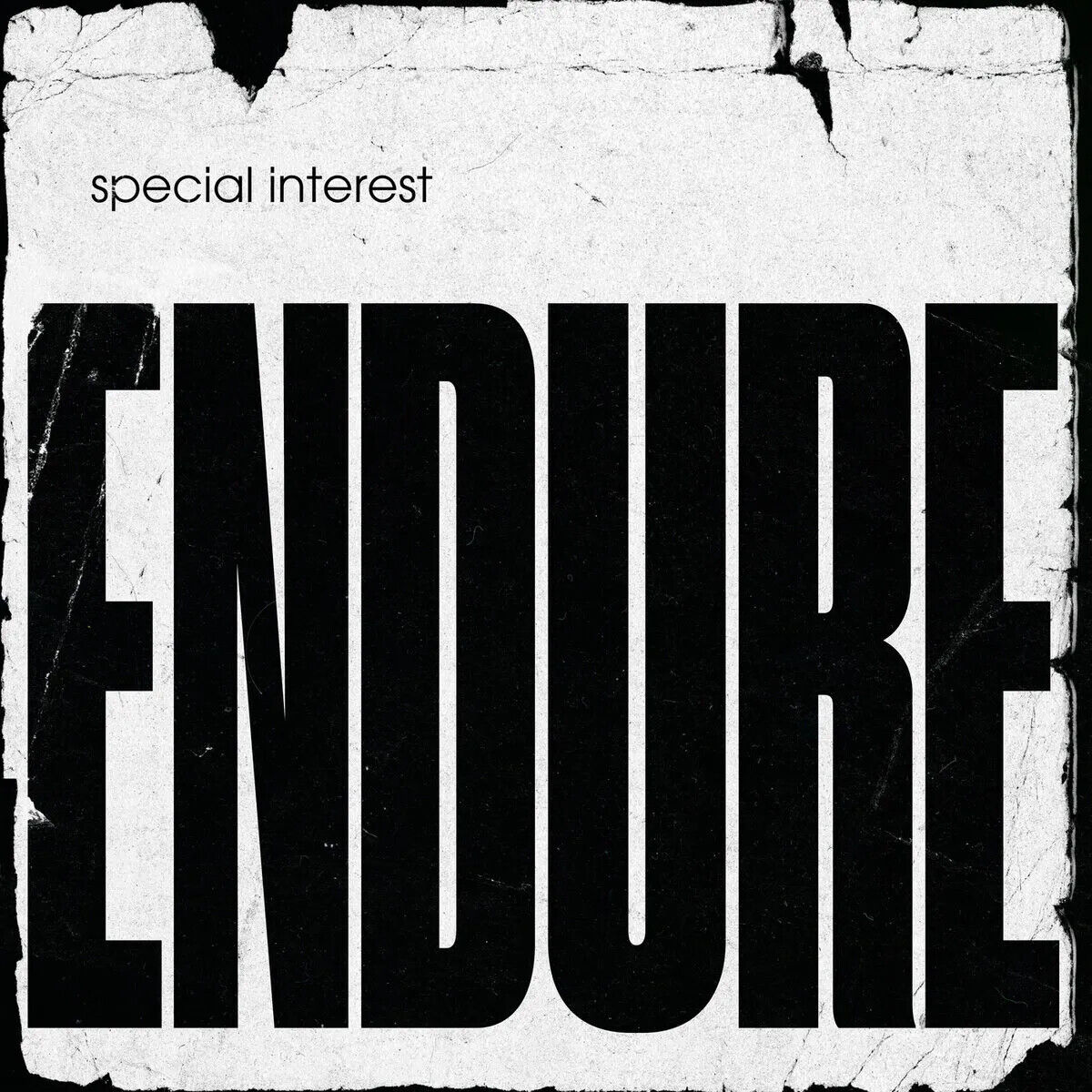 Special Interest Endure Album Cover Art Music Poster Iconic Band Print - xonomax