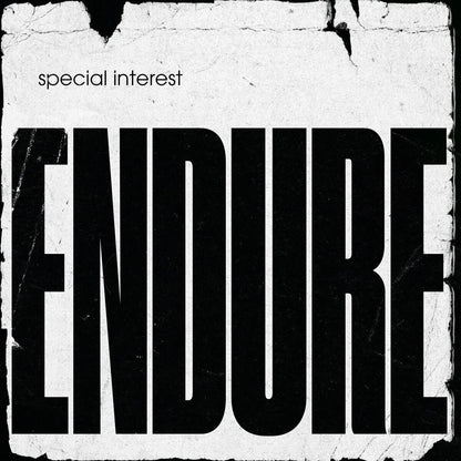 Special Interest Endure Album Cover Art Music Poster Iconic Band Print - xonomax