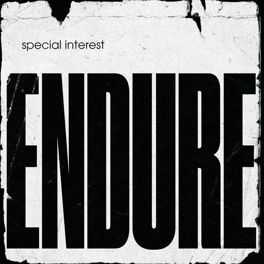 Special Interest Endure Album Cover Art Music Poster Iconic Band Print