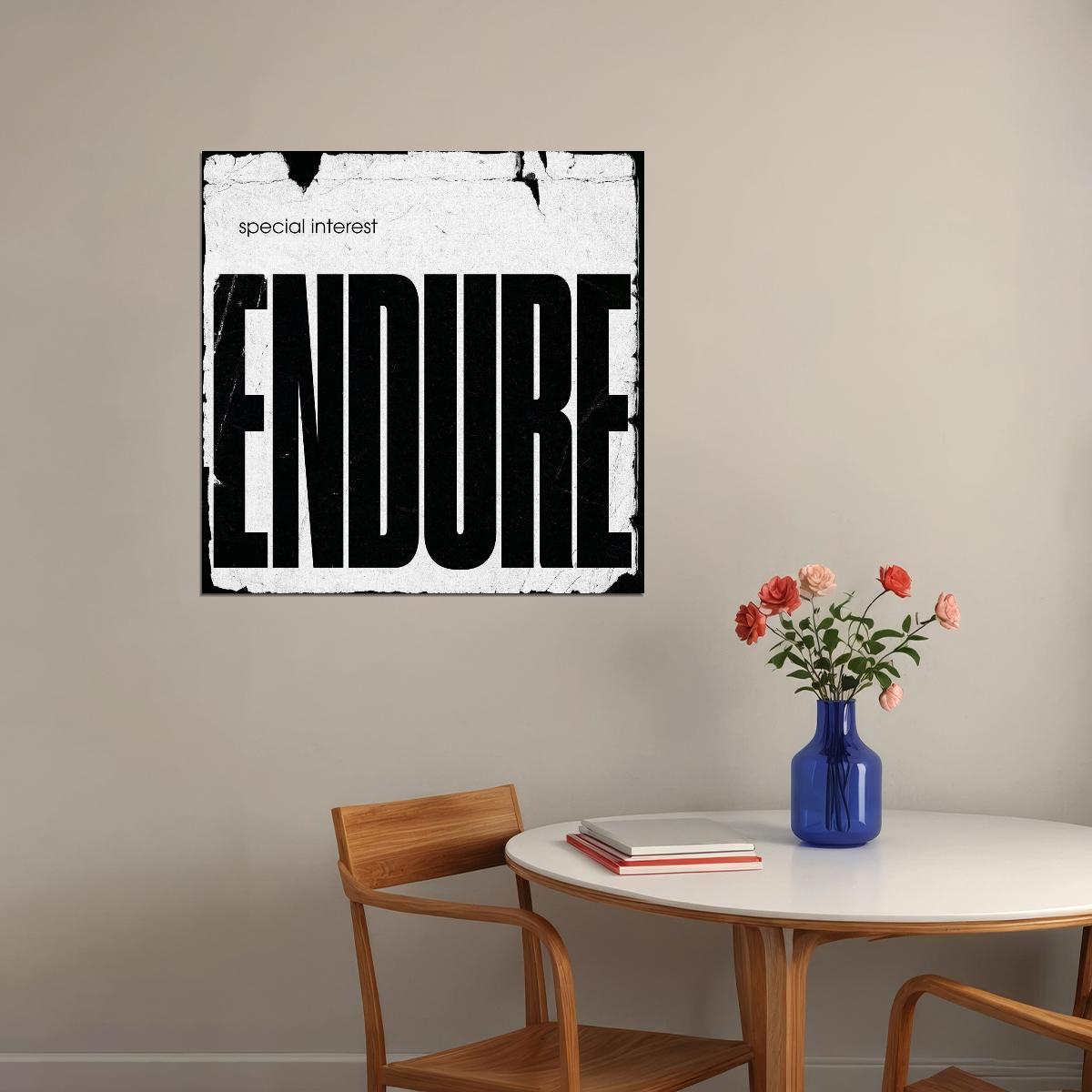 Special Interest Endure Album Cover Art Music Poster Iconic Band Print - xonomax