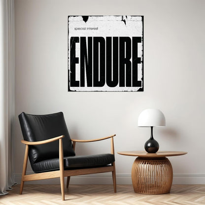 Special Interest Endure Album Cover Art Music Poster Iconic Band Print - xonomax