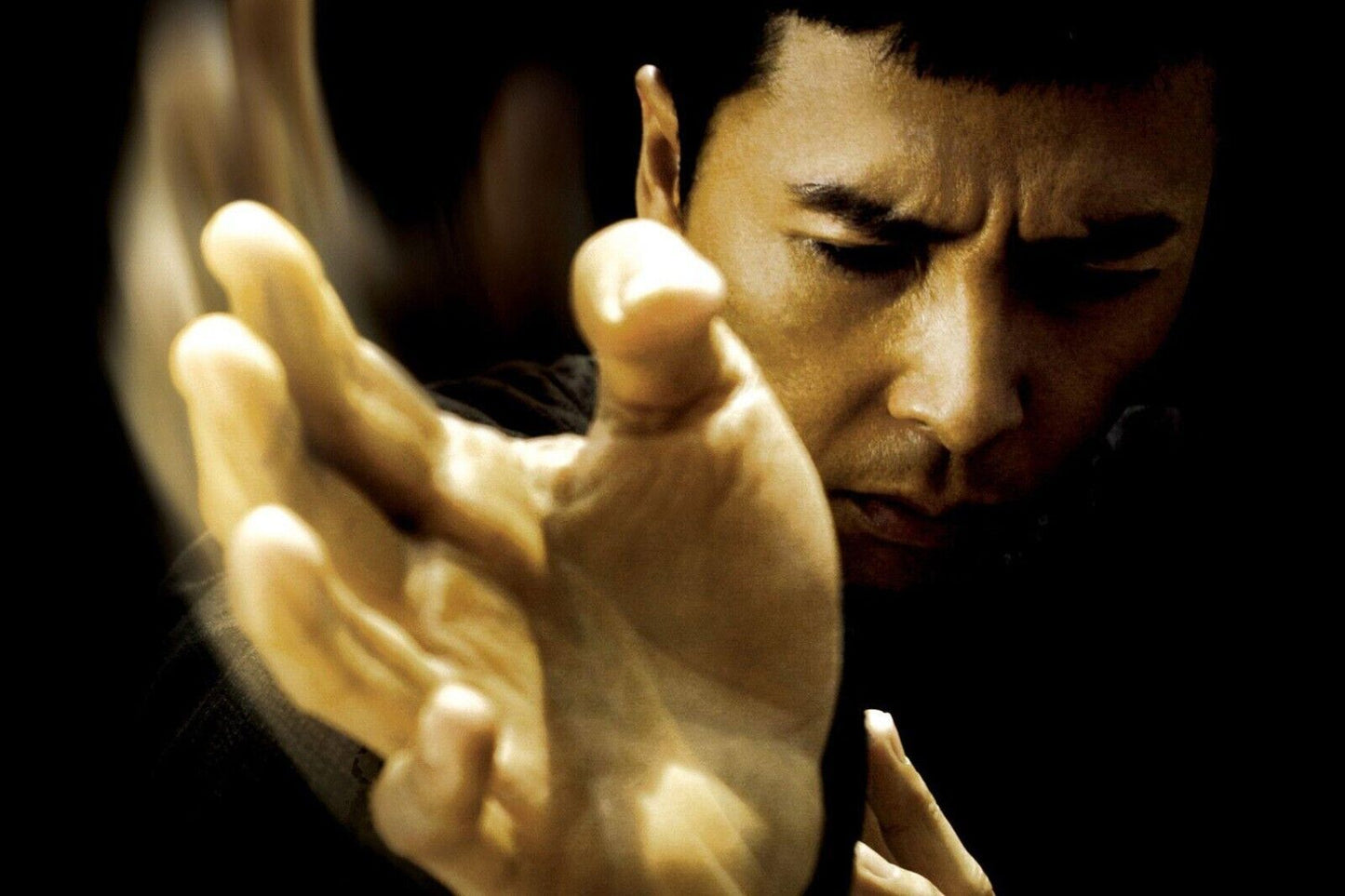 Donnie Yen Martial Arts Movie Star Poster Action Film Wall Art Actor Print