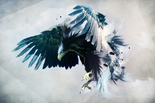 American Bald Eagle Poster National Bird Wall Art Wildlife Photography Print - xonomax
