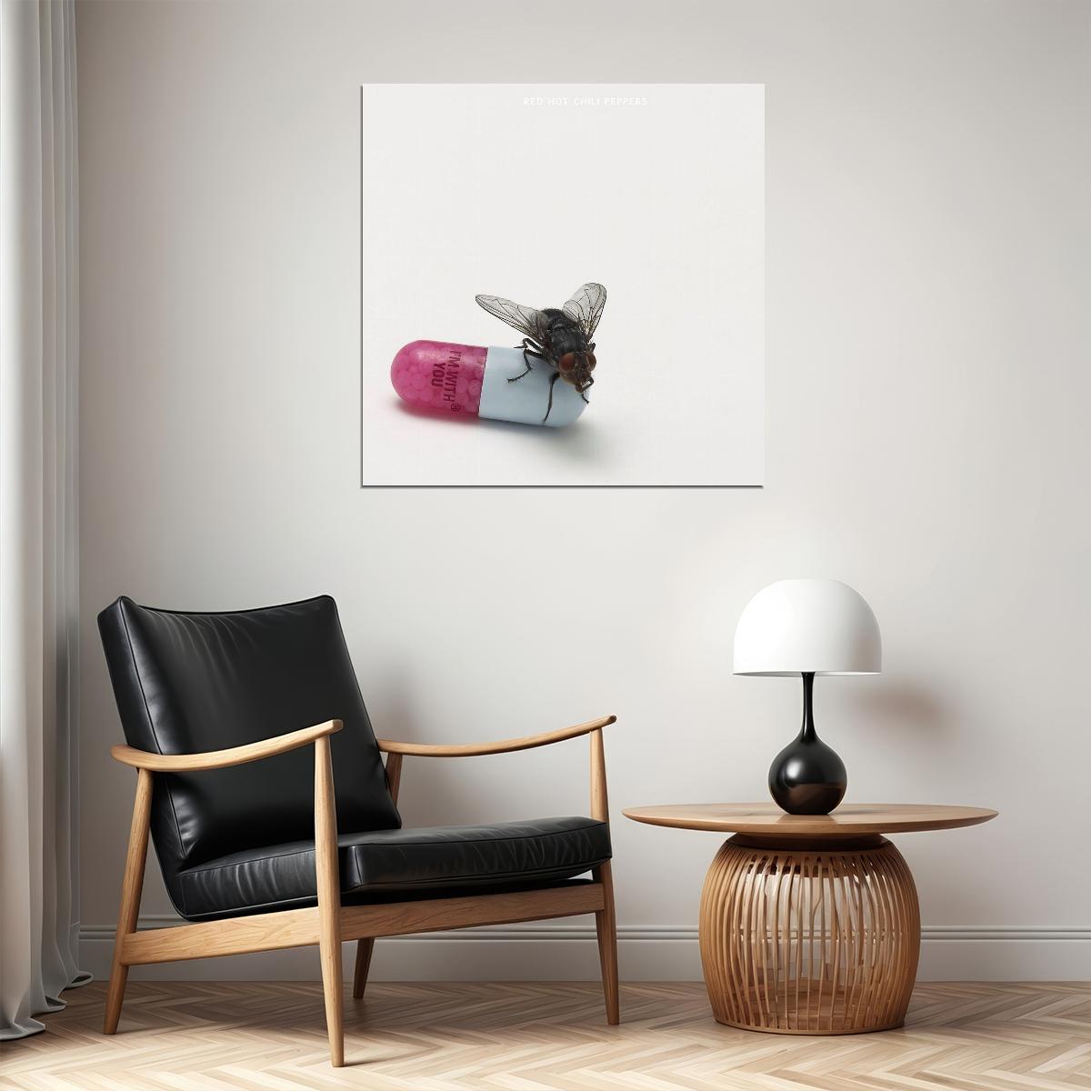 Red Hot Chili Peppers I'm With You Album Cover Art Rock Music Poster Band Wall Print - xonomax