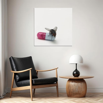 Red Hot Chili Peppers I'm With You Album Cover Art Rock Music Poster Band Wall Print - xonomax