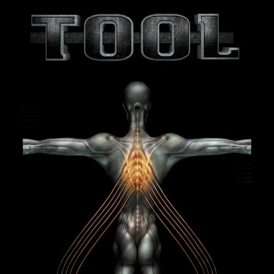 Tool Salival Album Cover Art Rock Music Poster Iconic Progressive Metal Band Print