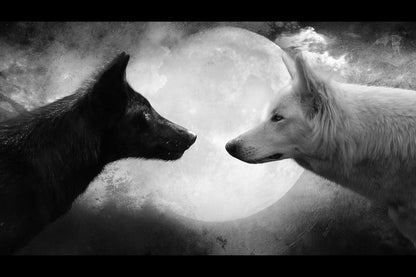 Wolves Animal Poster - xonomax