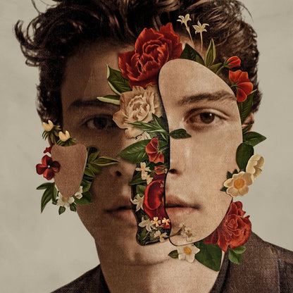 Shawn Mendes Album Cover Art Music Poster Print