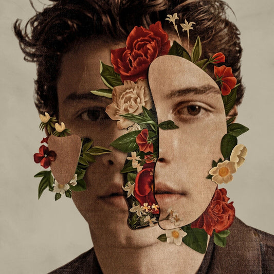 Shawn Mendes Album Cover Art Music Poster Print - xonomax
