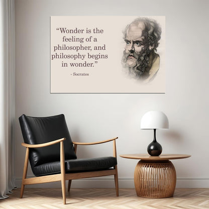 Socrates Wonder Quote Inspirational Poster Philosophy Wall Print