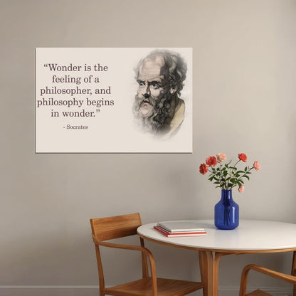 Socrates Wonder Quote Inspirational Poster Philosophy Wall Print