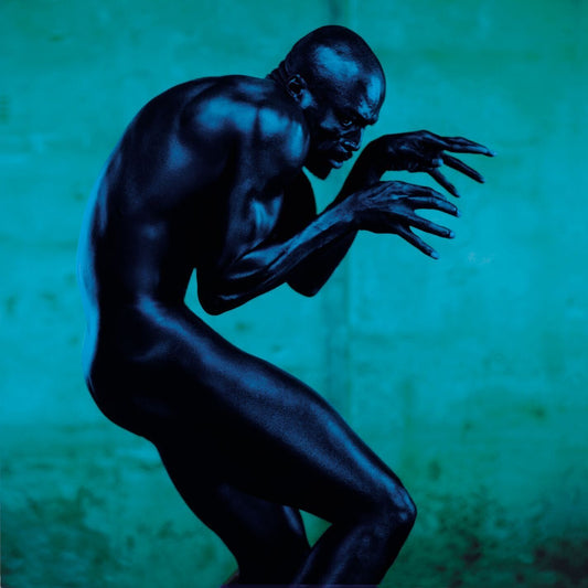 Seal Human Being Album Cover Art Soul Pop Music Poster Famous Singer Wall Print