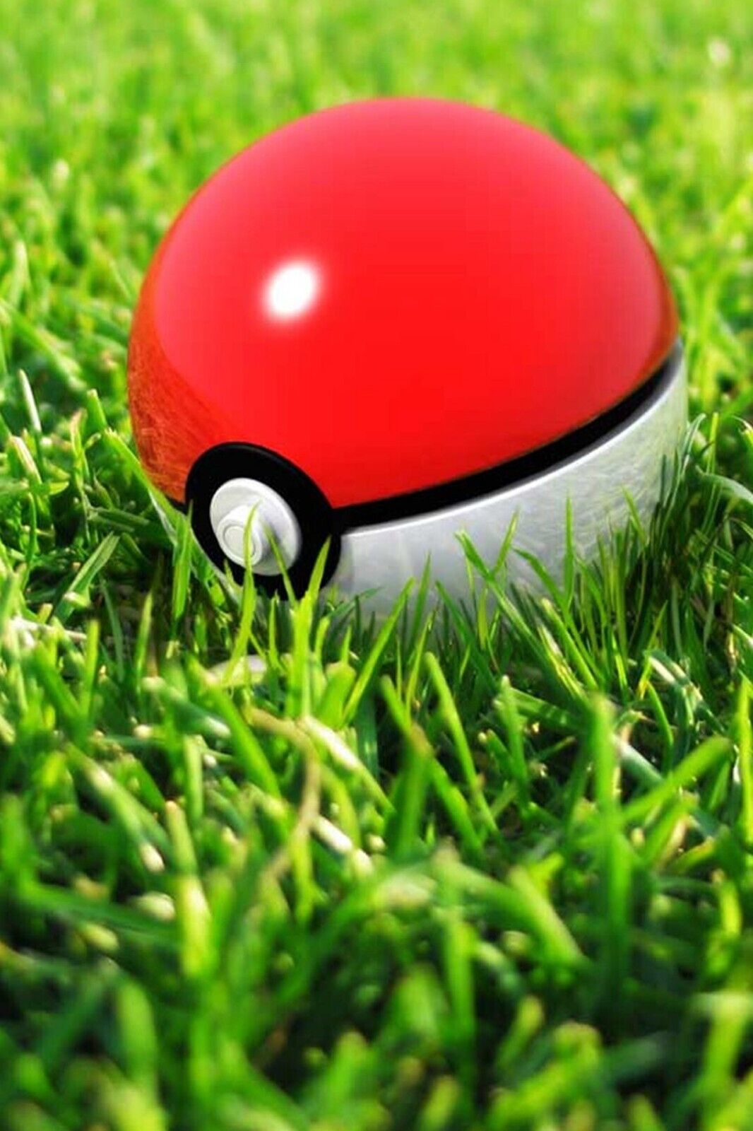 Pokemon Poke Ball Poster Nintendo Video Game Gamer Wall Art