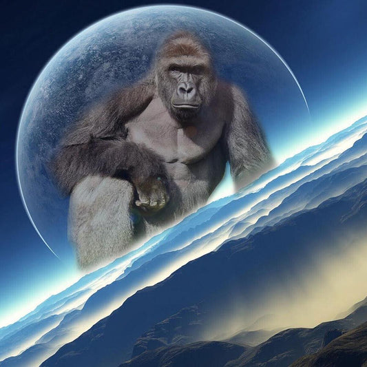 Harambe Gorilla Poster Tribute Wall Art Animal Memorial Print - xonomax