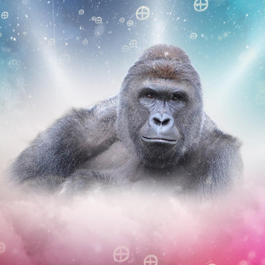 Harambe Gorilla Poster Tribute Wall Art Animal Memorial Print - xonomax