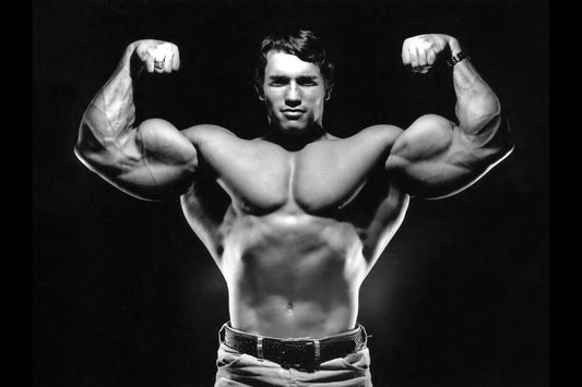 Arnold Schwarzenegger Poster Action Movie Star Wall Art Hollywood Bodybuilding Print