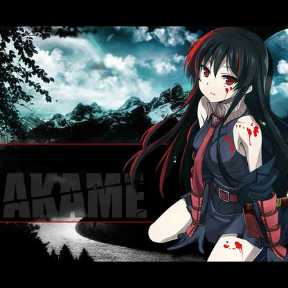 Akame Ga Kill! Anime Poster Japanese Animation Wall Art Manga Series Print