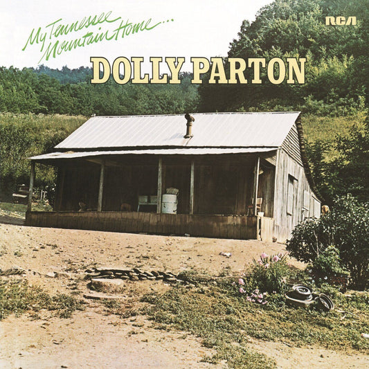Dolly Parton Poster Country Music Legend Wall Art Singer-songwriter Print - xonomax