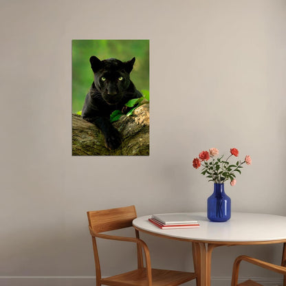 Animal Black Panther Photo Poster Wall Art Print Home Wall Decor - xonomax