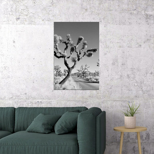 Desert Black And White Joshua Tree Landscape Poster Wall Art Print Home Wall Decor - xonomax