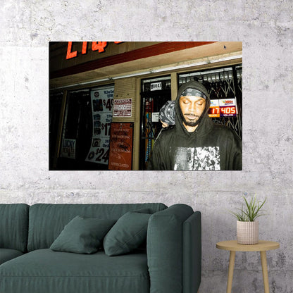 Jpegmafia Professional Rapper Lp Music Album Poster Wall Art Print Home Wall Decor