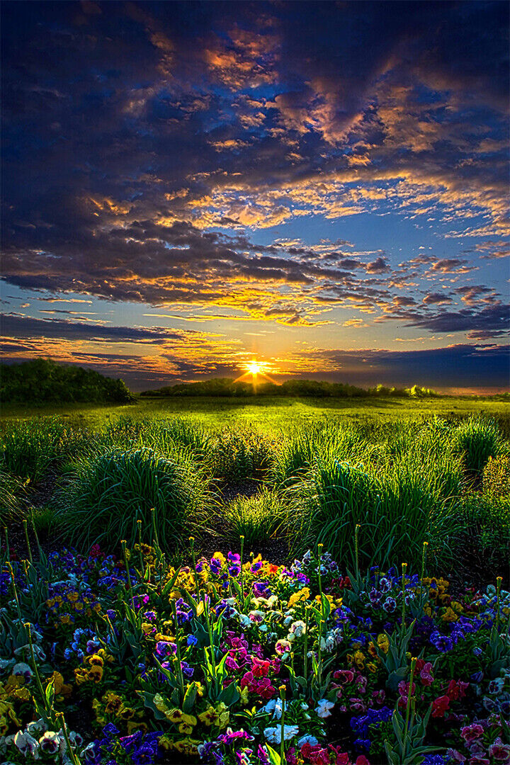 Beautiful Sunset Landscape Poster Wall Art Print Home Wall Decor - xonomax