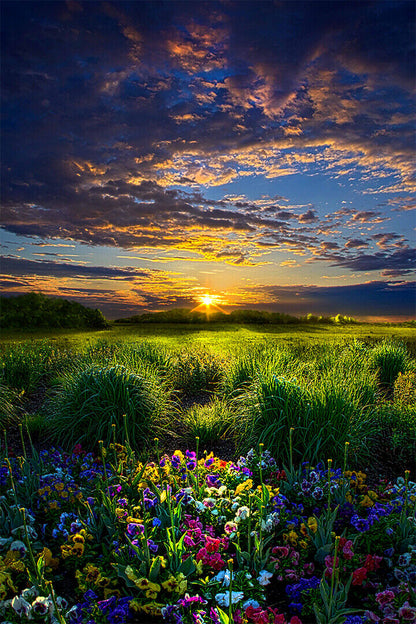 Beautiful Sunset Landscape Poster Wall Art Print Home Wall Decor - xonomax