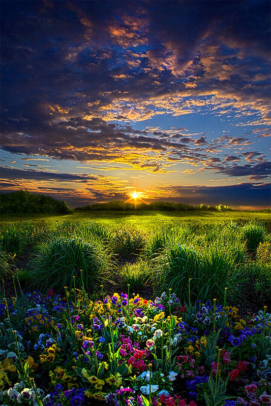 Beautiful Sunset Landscape Poster Wall Art Print Home Wall Decor - xonomax