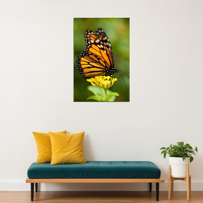 Monarch Butterfly On Yellow Flower Poster Wall Art Print Home Wall Decor - xonomax