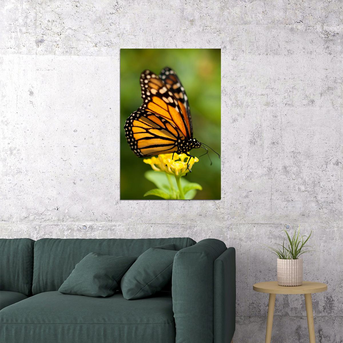 Monarch Butterfly On Yellow Flower Poster Wall Art Print Home Wall Decor - xonomax
