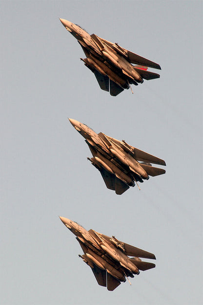 Three F-14 Tomcats Flying In Formation Poster Wall Art Print Home Wall Decor