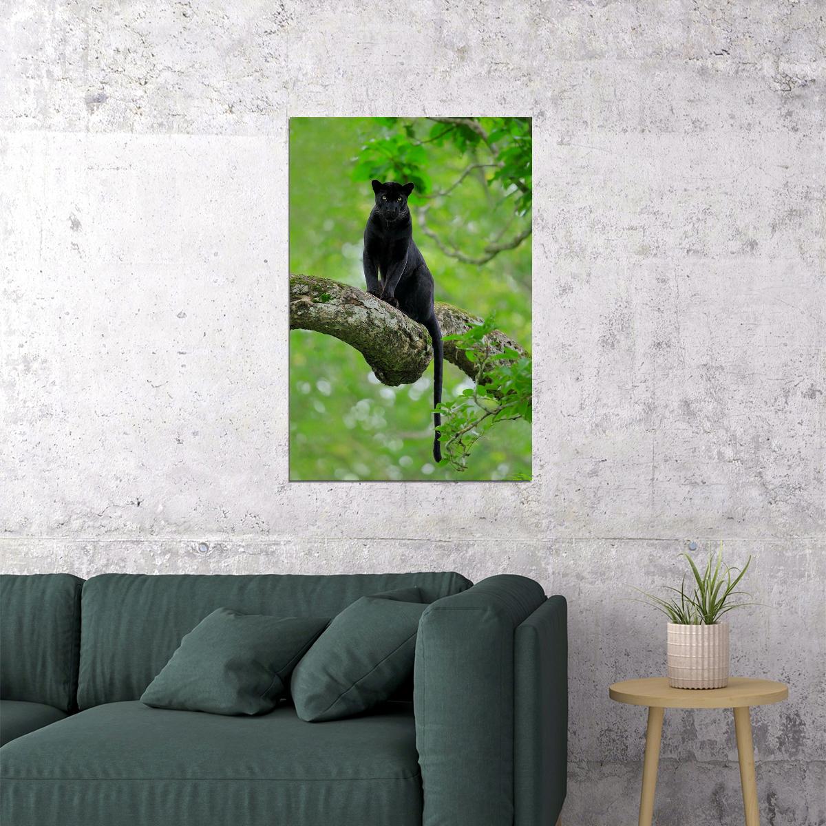 Mean Black Panther Animals Picture Poster Wall Art Print Home Wall Decor - xonomax