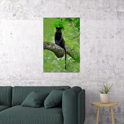 Mean Black Panther Animals Picture Poster Wall Art Print Home Wall Decor - xonomax