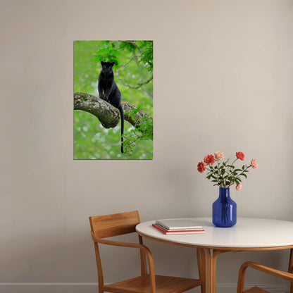 Mean Black Panther Animals Picture Poster Wall Art Print Home Wall Decor - xonomax