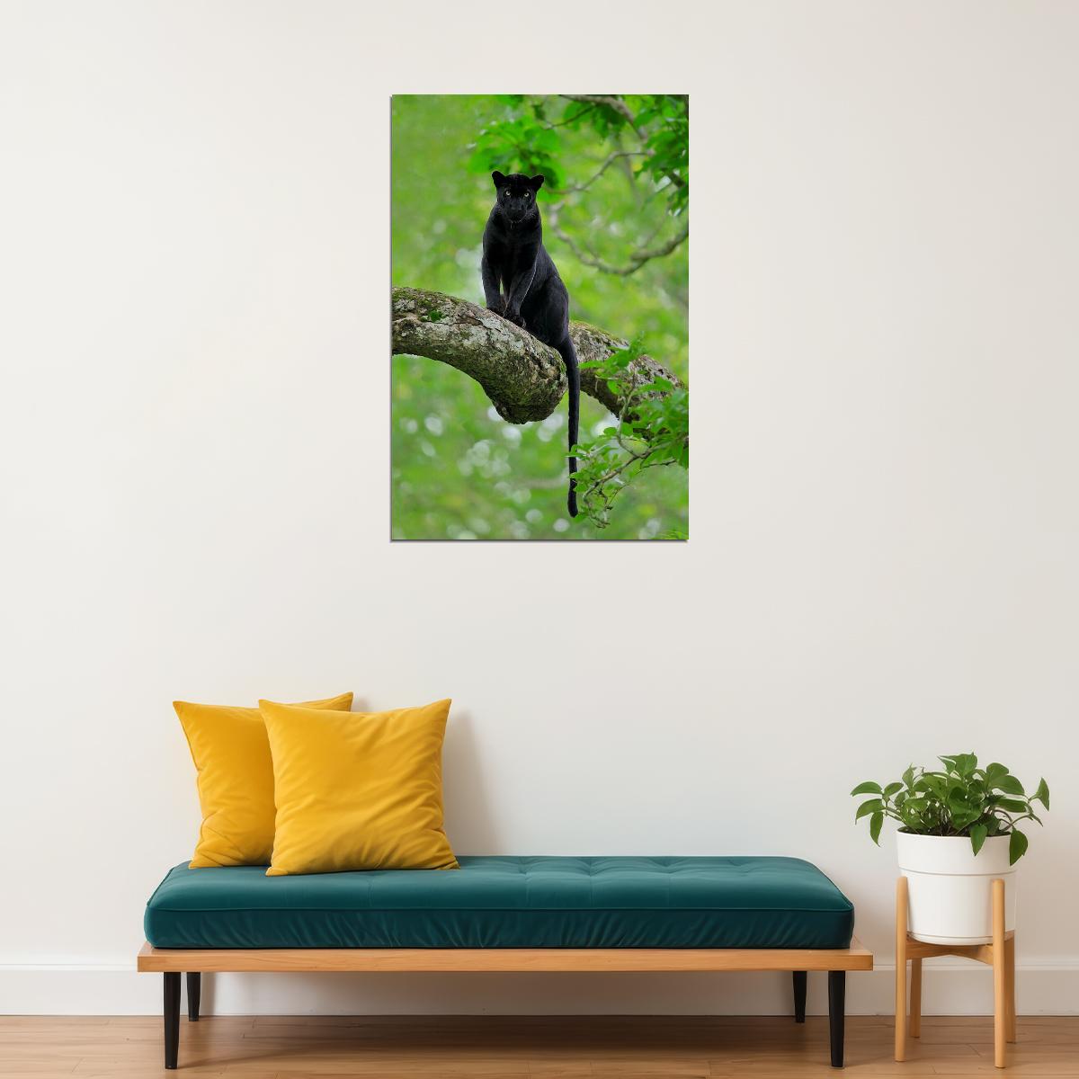 Mean Black Panther Animals Picture Poster Wall Art Print Home Wall Decor - xonomax