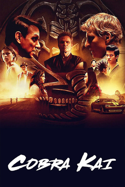 Cobra Kai Season 1 2 3 Karate Fight Tv Movie Poster Wall Art Print Home Wall Decor - xonomax