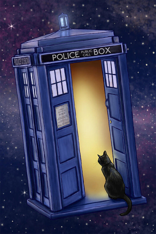 Dr Who Space Tardis Movie Comedy Poster Wall Art Print Home Wall Decor