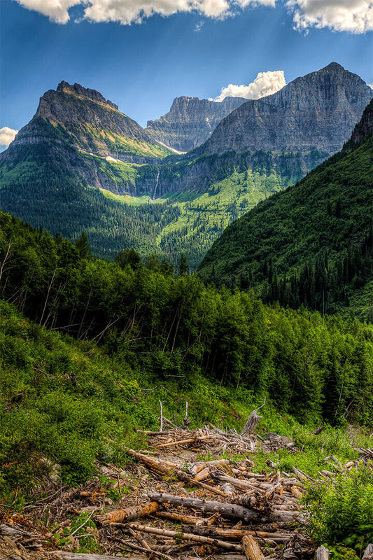 Glacier National Park Montana History Mountain Picture Poster Wall Art Print Home Wall Decor - xonomax