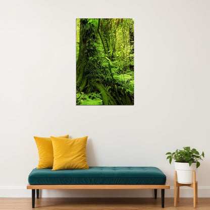 Moss Grown Forest Amazon Jungle Trees Poster Wall Art Print Home Wall Decor - xonomax