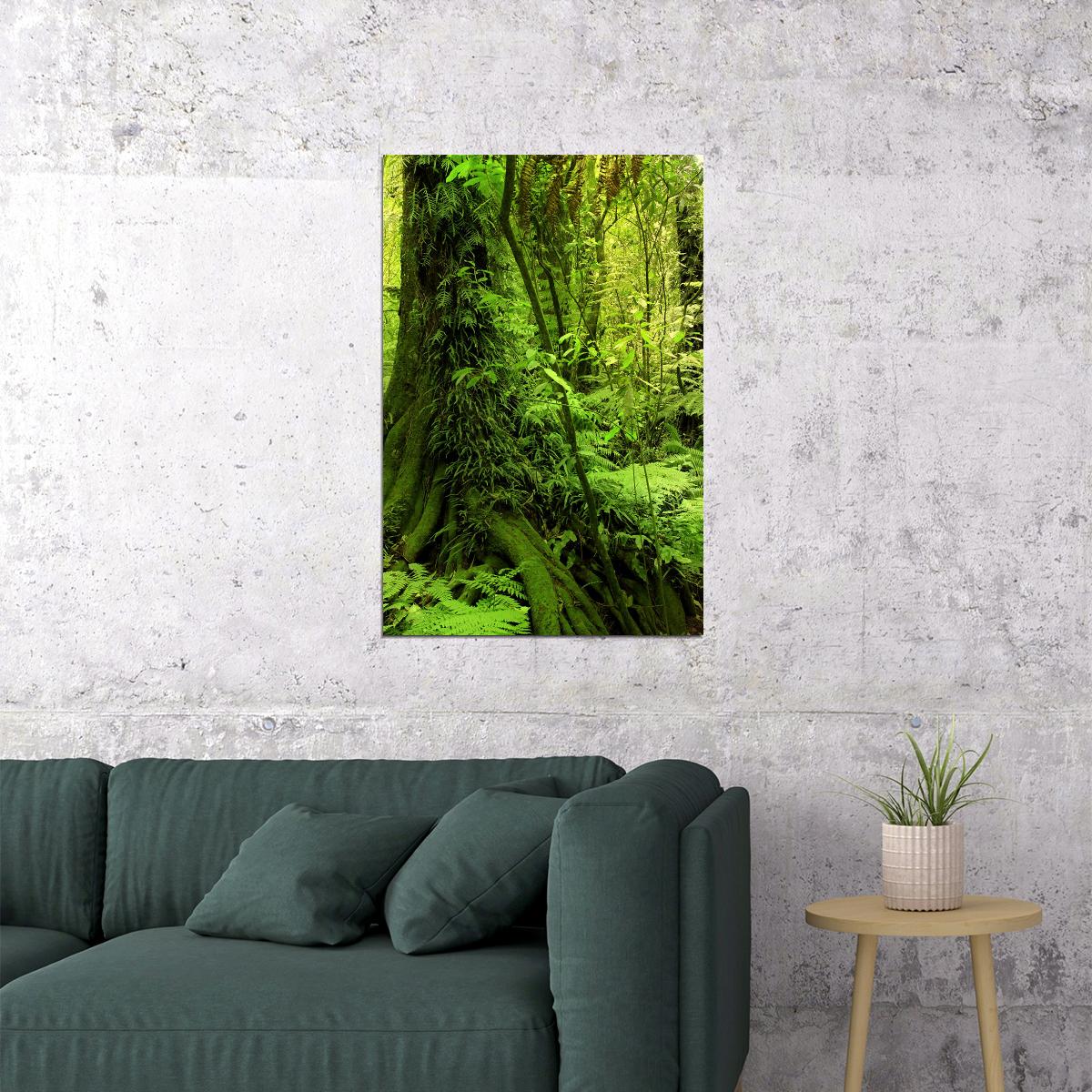 Moss Grown Forest Amazon Jungle Trees Poster Wall Art Print Home Wall Decor - xonomax
