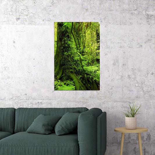 Moss Grown Forest Amazon Jungle Trees Poster Wall Art Print Home Wall Decor - xonomax