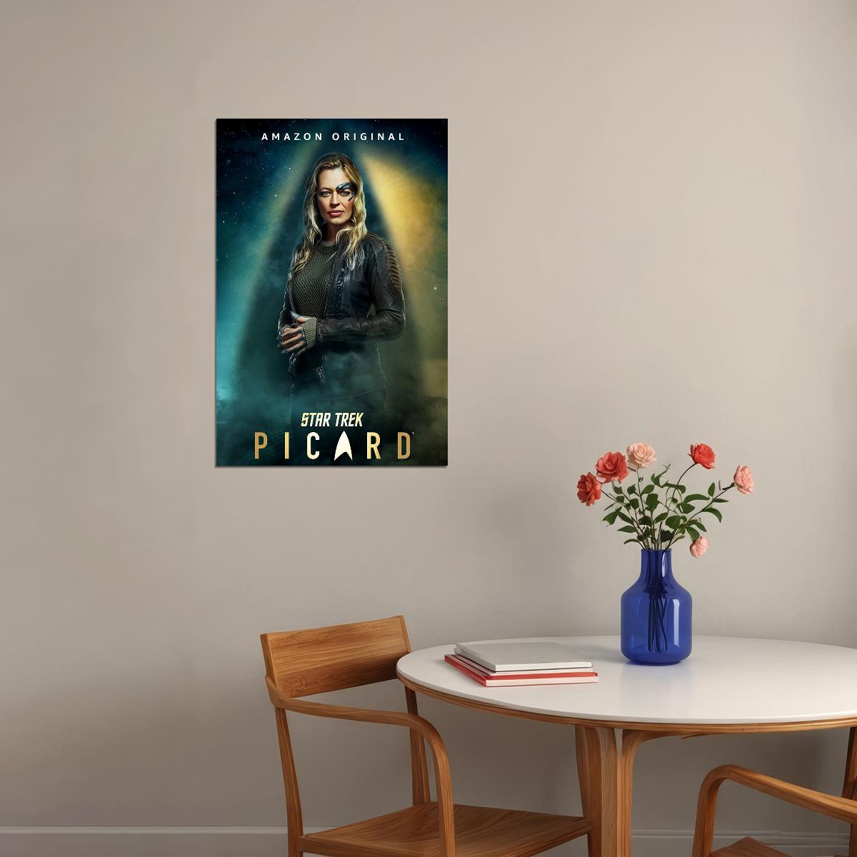 Star Trek Picard Fantasy Movie Poster Wall Art Print Home Wall Decor