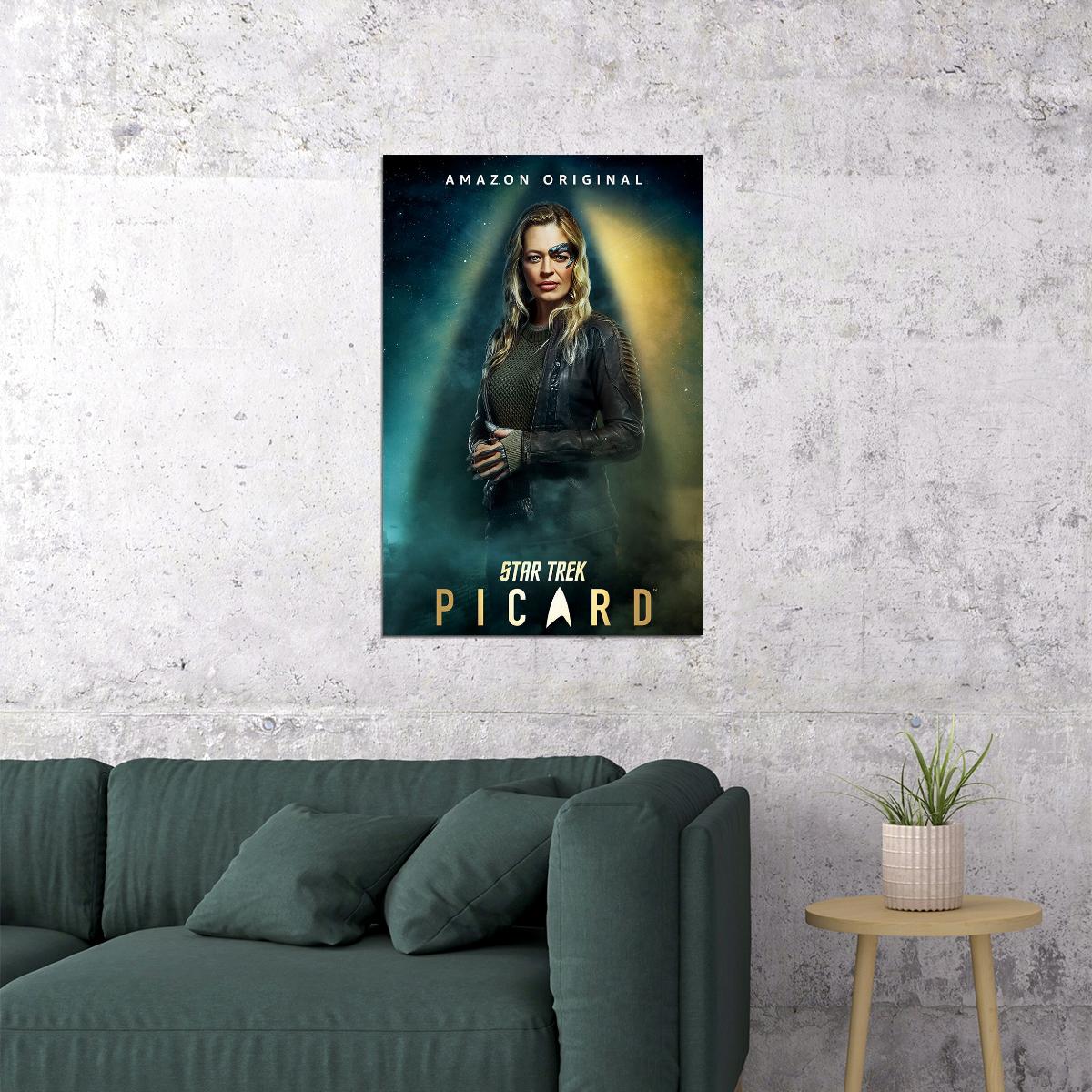 Star Trek Picard Fantasy Movie Poster Wall Art Print Home Wall Decor