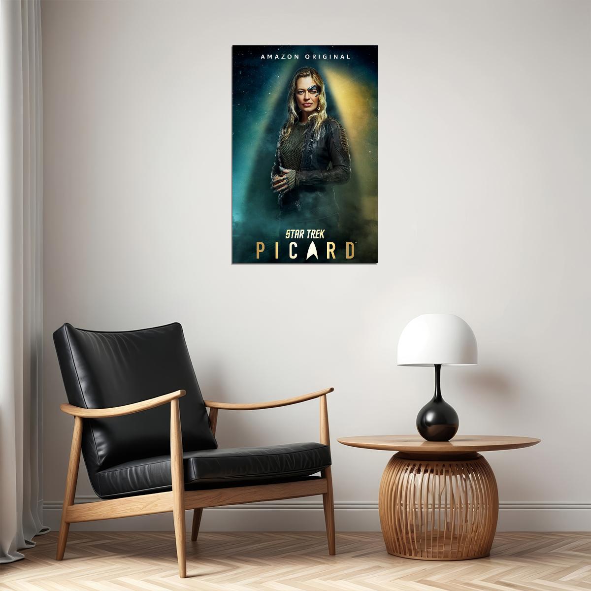 Star Trek Picard Fantasy Movie Poster Wall Art Print Home Wall Decor