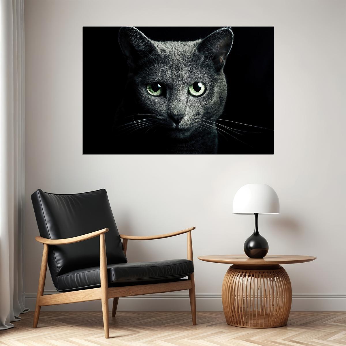 Cute Black Cat Looking At The Camera Animals Poster Wall Art Print Home Wall Decor - xonomax