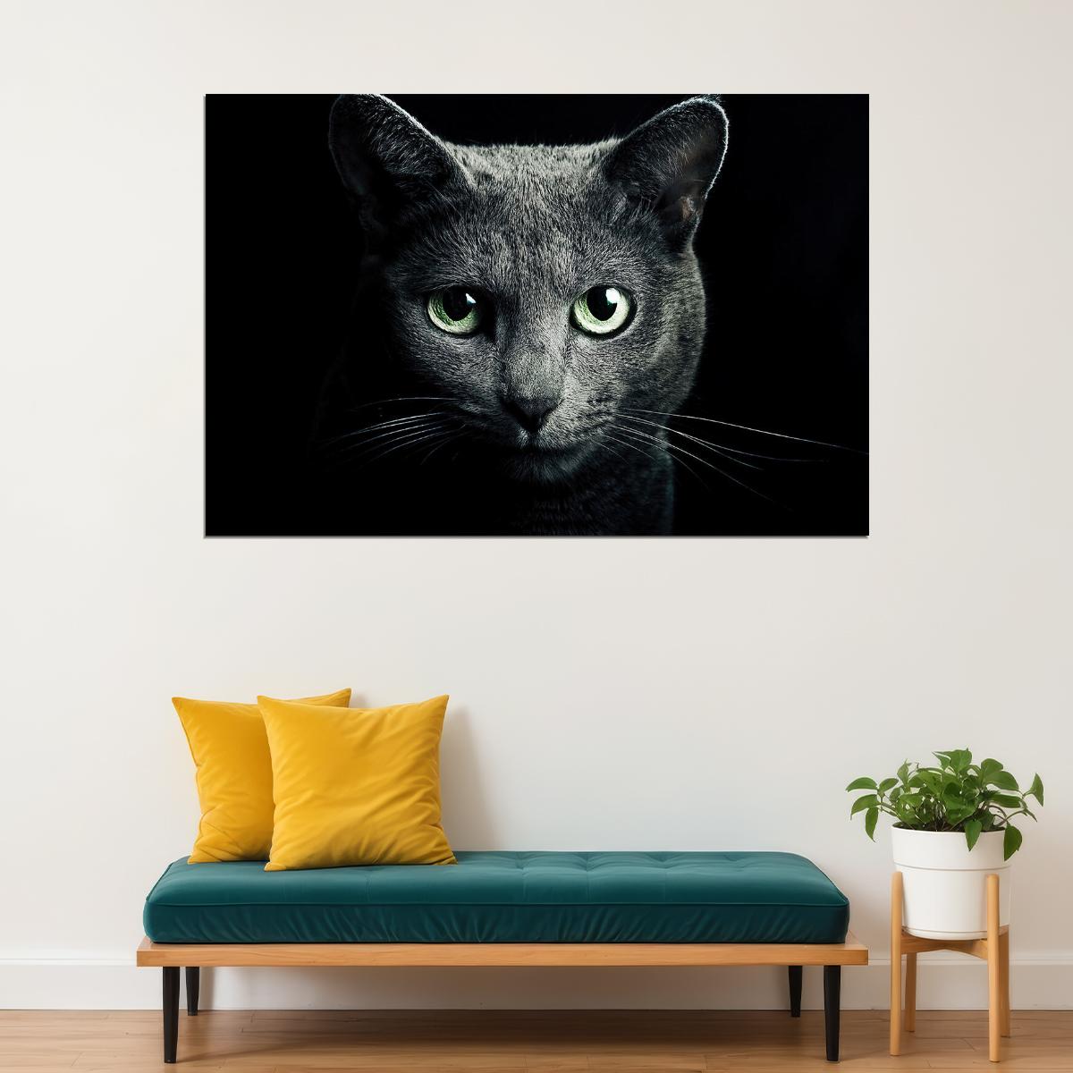 Cute Black Cat Looking At The Camera Animals Poster Wall Art Print Home Wall Decor - xonomax