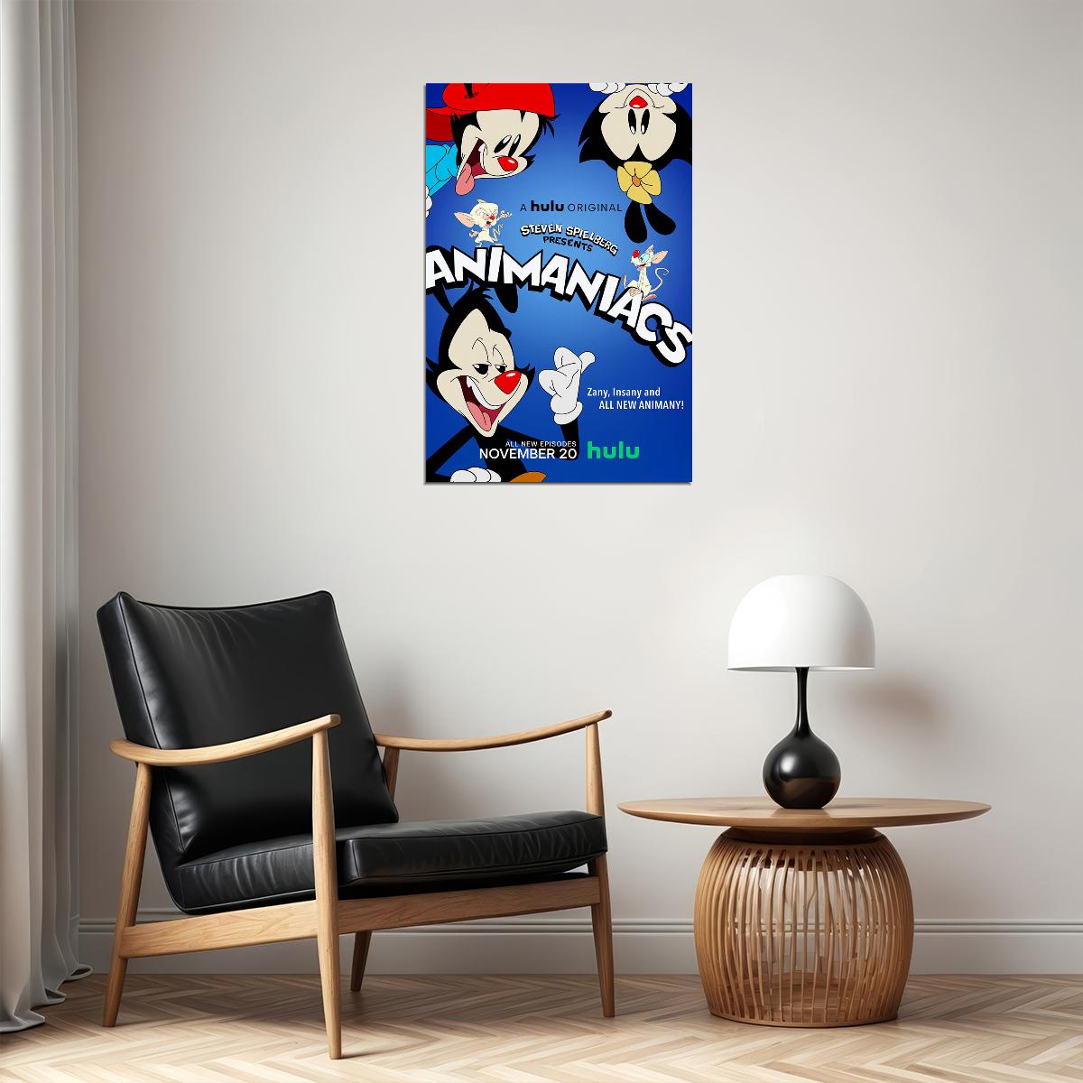 Animaniacs Movie Animation Action Poster Wall Art Print Home Wall Decor