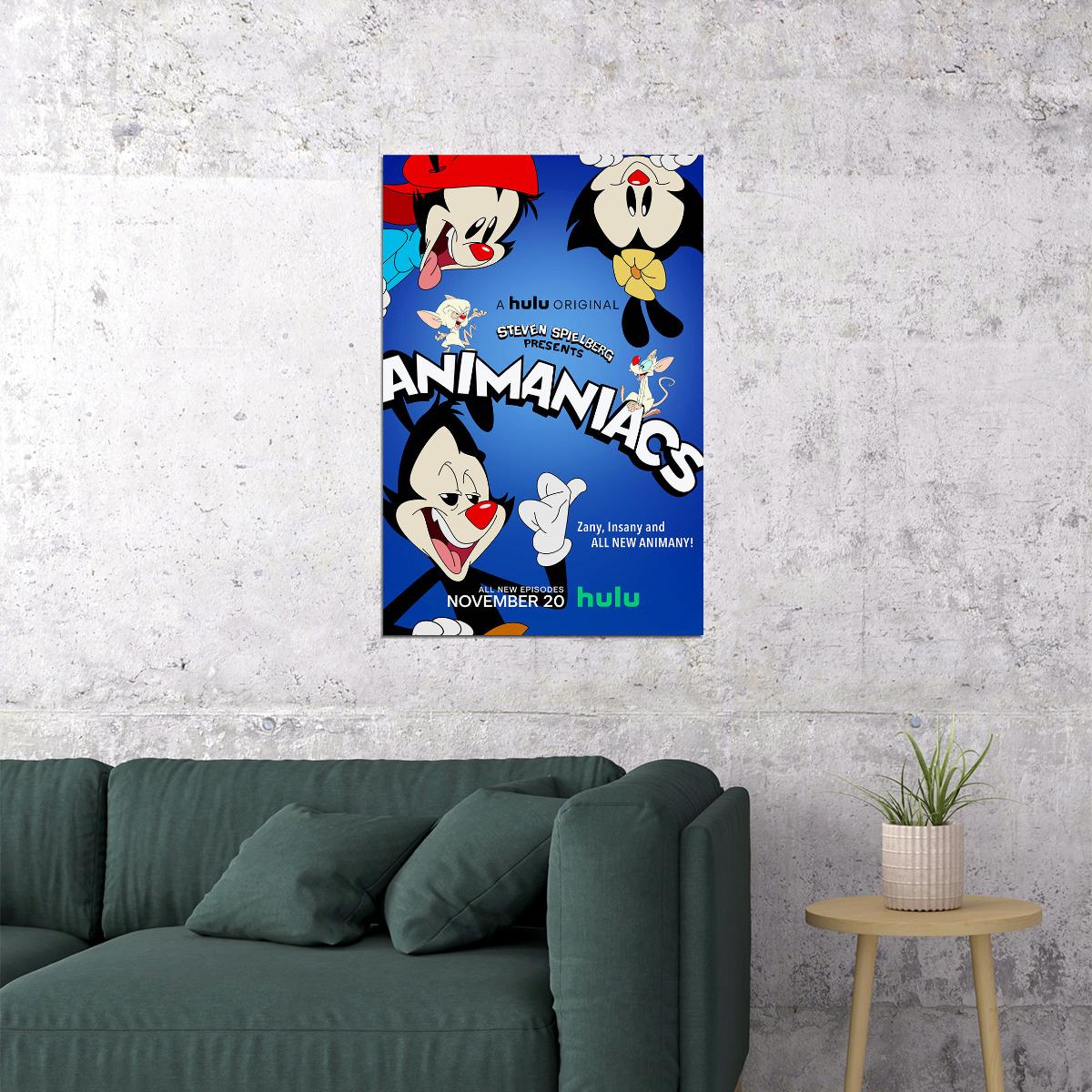 Animaniacs Movie Animation Action Poster Wall Art Print Home Wall Decor