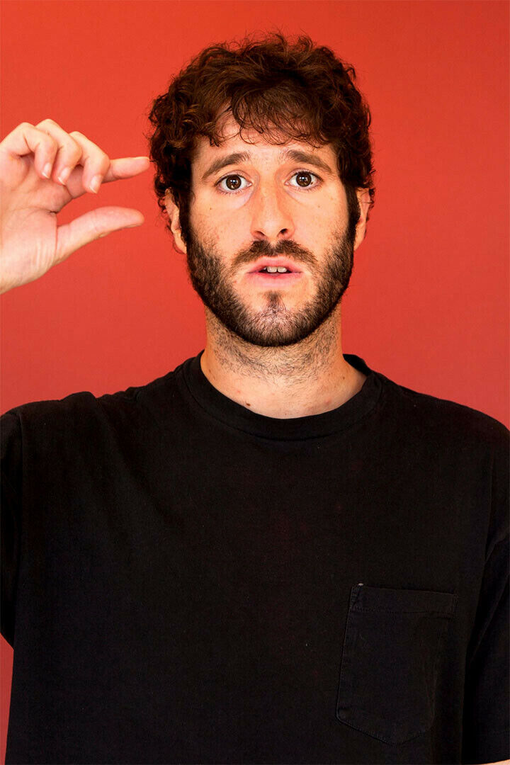 Lil Dicky Hip Hop Rapper Music Singer Poster Wall Art Print Home Wall Decor